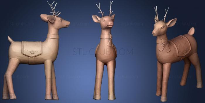 Deer